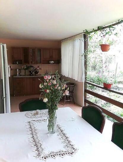 Эльза Hotel Gudauta Ngoại thất bức ảnh