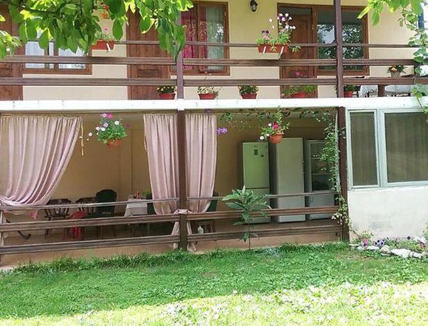 Эльза Hotel Gudauta Ngoại thất bức ảnh